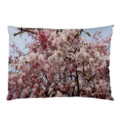 Almond Tree Flower Pillow Case (two Sides) by artworkshop