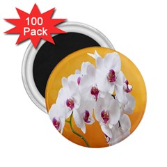 Boards Decoration Flower Flower Room 2 25  Magnets (100 Pack)  by artworkshop