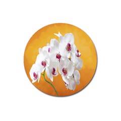 Boards Decoration Flower Flower Room Magnet 3  (round)