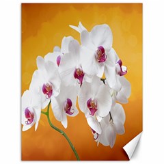 Boards Decoration Flower Flower Room Canvas 12  X 16  by artworkshop