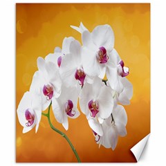 Boards Decoration Flower Flower Room Canvas 8  X 10  by artworkshop