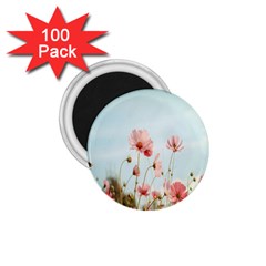 Cosmos Flower Blossom In Garden 1 75  Magnets (100 Pack)  by artworkshop