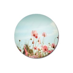 Cosmos Flower Blossom In Garden Magnet 3  (round)