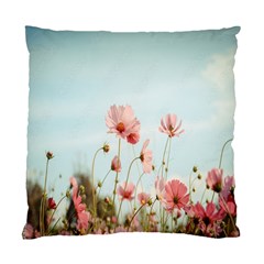 Cosmos Flower Blossom In Garden Standard Cushion Case (two Sides) by artworkshop