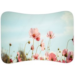 Cosmos Flower Blossom In Garden Velour Seat Head Rest Cushion by artworkshop