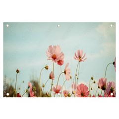 Cosmos Flower Blossom In Garden Banner And Sign 6  X 4  by artworkshop