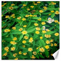 Flower Plant Spring Canvas 16  X 16 