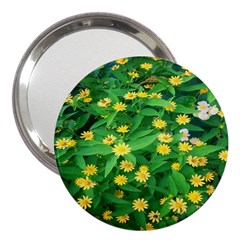 Flower Plant Spring 3  Handbag Mirrors by artworkshop