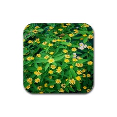 Flower Plant Spring Rubber Square Coaster (4 Pack) by artworkshop