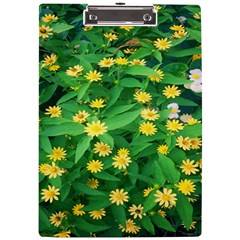 Flower Plant Spring A4 Acrylic Clipboard by artworkshop