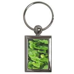 Layered Plant Leaves Iphone Wallpaper Key Chain (rectangle) by artworkshop