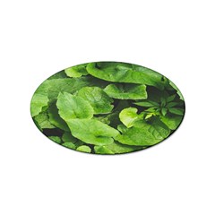 Layered Plant Leaves Iphone Wallpaper Sticker (oval)