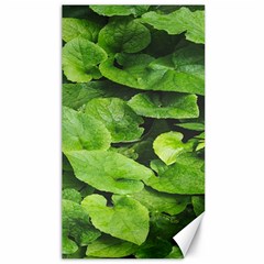 Layered Plant Leaves Iphone Wallpaper Canvas 40  X 72  by artworkshop