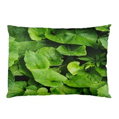 Layered Plant Leaves Iphone Wallpaper Pillow Case (two Sides) by artworkshop