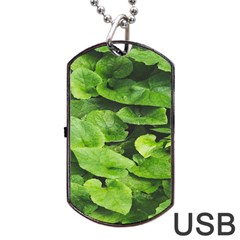 Layered Plant Leaves Iphone Wallpaper Dog Tag Usb Flash (two Sides) by artworkshop