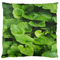 Layered Plant Leaves Iphone Wallpaper Large Cushion Case (two Sides) by artworkshop