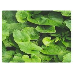Layered Plant Leaves Iphone Wallpaper One Side Premium Plush Fleece Blanket (extra Small) by artworkshop