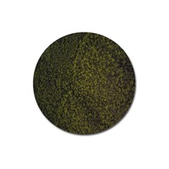 Green Grunge Background Magnet 3  (round) by artworkshop