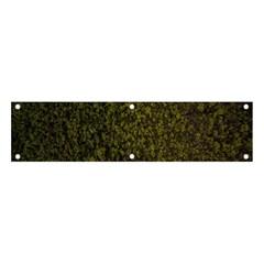 Green Grunge Background Banner And Sign 4  X 1  by artworkshop