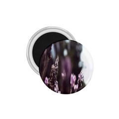 Purple Flower Pattern 1.75  Magnets