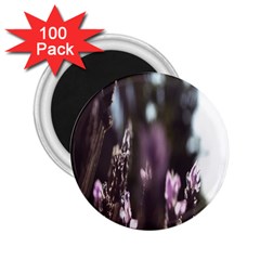 Purple Flower Pattern 2.25  Magnets (100 pack) 