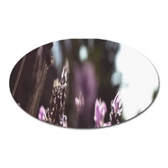 Purple Flower Pattern Oval Magnet