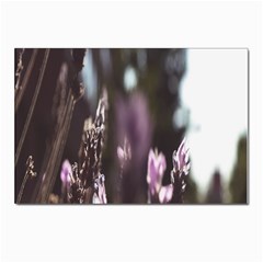 Purple Flower Pattern Postcard 4 x 6  (Pkg of 10)