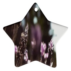 Purple Flower Pattern Star Ornament (two Sides) by artworkshop