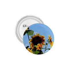 Sunflower Flower Yellow 1 75  Buttons by artworkshop