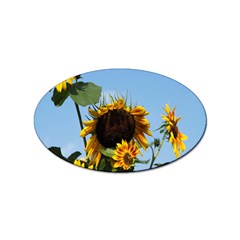 Sunflower Flower Yellow Sticker Oval (10 Pack) by artworkshop