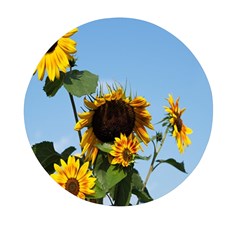 Sunflower Flower Yellow Mini Round Pill Box