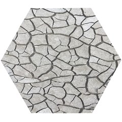 Texture Pattern Tile Wooden Puzzle Hexagon by artworkshop