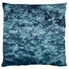 Texture Reef Pattern Large Premium Plush Fleece Cushion Case (one Side) by artworkshop