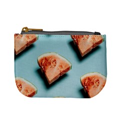 Watermelon Against Blue Surface Pattern Mini Coin Purse