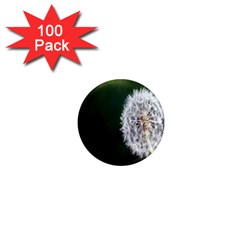 White Flower 1  Mini Magnets (100 Pack)  by artworkshop