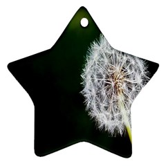 White Flower Star Ornament (two Sides) by artworkshop