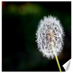 White Flower Canvas 16  X 16  by artworkshop