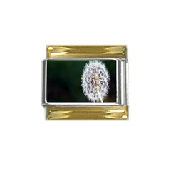 White Flower Gold Trim Italian Charm (9mm) by artworkshop