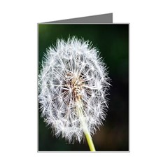 White Flower Mini Greeting Card by artworkshop