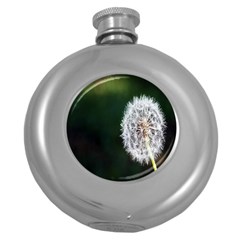 White Flower Round Hip Flask (5 Oz) by artworkshop