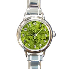 Botanical Motif Plants Detail Photography Round Italian Charm Watch by dflcprintsclothing