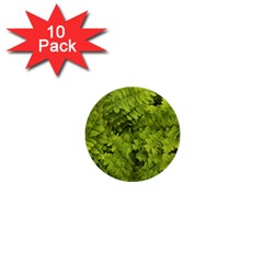 Botanical Motif Plants Detail Photography 1  Mini Buttons (10 Pack)  by dflcprintsclothing