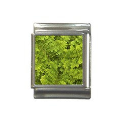 Botanical Motif Plants Detail Photography Italian Charm (13mm)