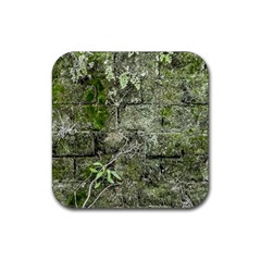 Old Stone Exterior Wall With Moss Rubber Coaster (square) by dflcprintsclothing