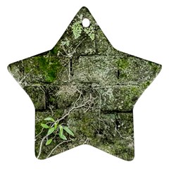 Old Stone Exterior Wall With Moss Star Ornament (two Sides)