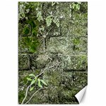 Old Stone Exterior Wall With Moss Canvas 20  x 30  19.62 x28.9  Canvas - 1