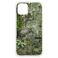 Old Stone Exterior Wall With Moss Iphone 12/12 Pro Tpu Uv Print Case by dflcprintsclothing