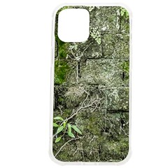 Old Stone Exterior Wall With Moss Iphone 12 Pro Max Tpu Uv Print Case by dflcprintsclothing