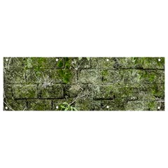 Old Stone Exterior Wall With Moss Banner And Sign 9  X 3  by dflcprintsclothing