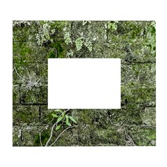 Old Stone Exterior Wall With Moss White Wall Photo Frame 5  X 7  by dflcprintsclothing